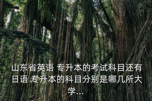  山東省英語 專升本的考試科目還有 日語 專升本的科目分別是哪幾所大學(xué)...