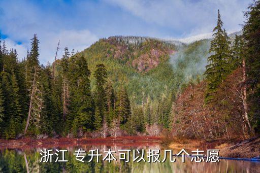 浙江 專升本可以報(bào)幾個(gè)志愿