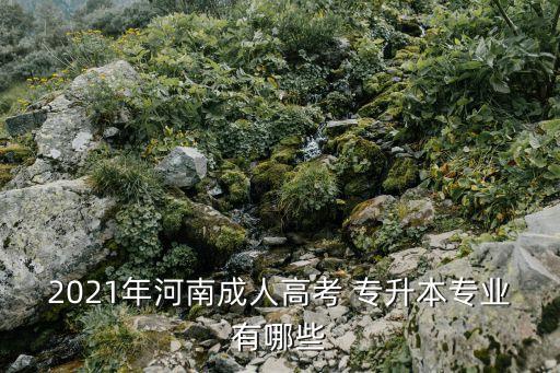 2021年河南成人高考 專(zhuān)升本專(zhuān)業(yè)有哪些