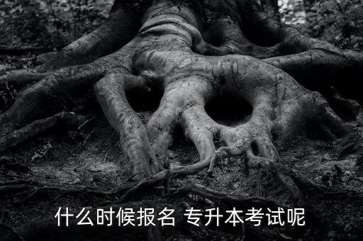 什么時(shí)候報(bào)名 專(zhuān)升本考試呢