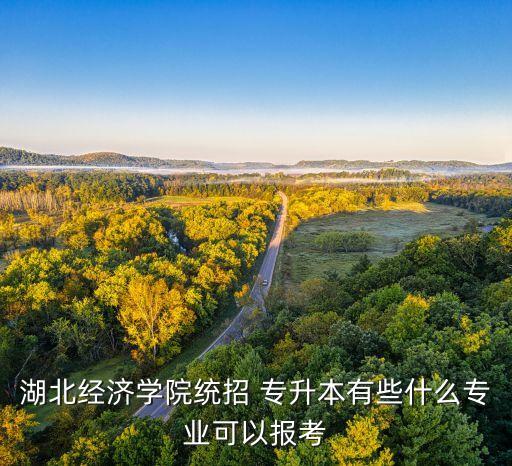 專升本審計視頻,大數(shù)據(jù)與審計專升本考什么