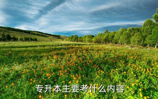  專升本主要考什么內(nèi)容