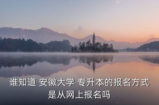 誰知道 安徽大學 專升本的報名方式是從網(wǎng)上報名嗎