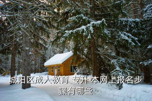 城陽區(qū)成人教育 專升 本網(wǎng)上報(bào)名步驟有哪些