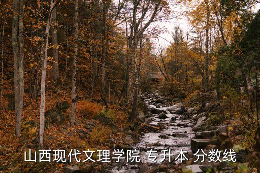 山西現(xiàn)代文理學院 專升本 分數(shù)線