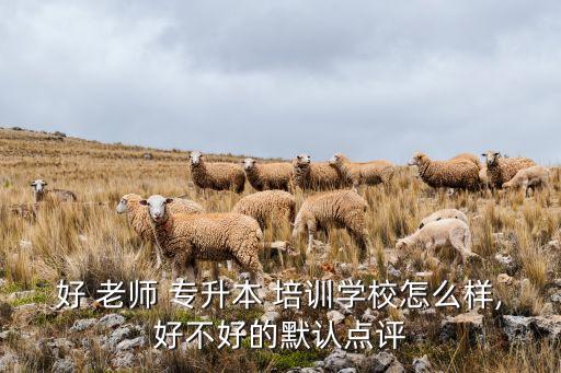 好 老師 專升本 培訓(xùn)學(xué)校怎么樣,好不好的默認(rèn)點(diǎn)評