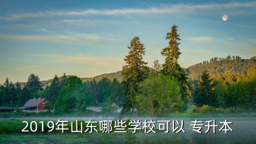 2019年山東哪些學(xué)?？梢?專升本
