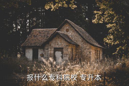 報(bào)什么專(zhuān)科院校 專(zhuān)升本