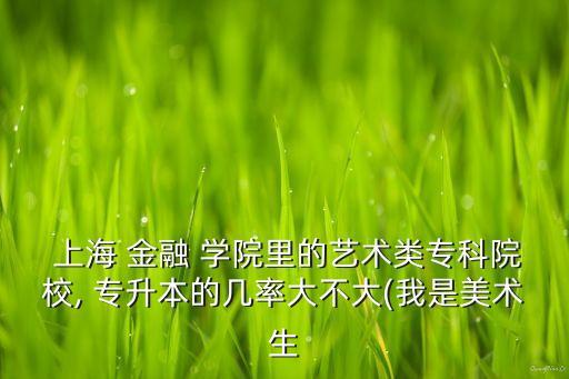 上海 金融 學(xué)院里的藝術(shù)類專科院校, 專升本的幾率大不大(我是美術(shù)生