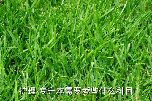 ?{護(hù)專(zhuān)升本英語(yǔ),2022河南專(zhuān)升本英語(yǔ)