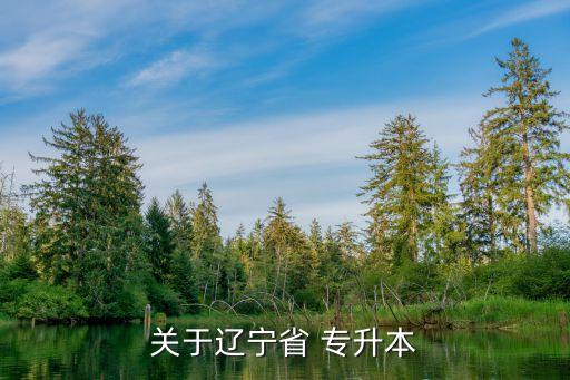 2017年大連外國(guó)語(yǔ)專(zhuān)升本總分,大連外國(guó)語(yǔ)專(zhuān)升本都可以考什么專(zhuān)業(yè)