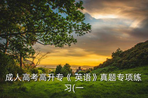 成人高考高升?！?英語(yǔ)》真題專項(xiàng)練習(xí)(一