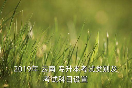 云南專升本考些什么