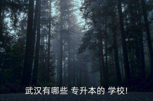 湖北2016年專(zhuān)升本學(xué)校,湖北專(zhuān)升本學(xué)校排名一覽表