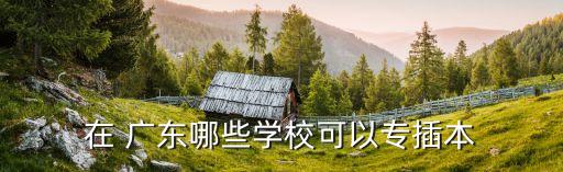 在 廣東哪些學(xué)?？梢詫２灞? class=