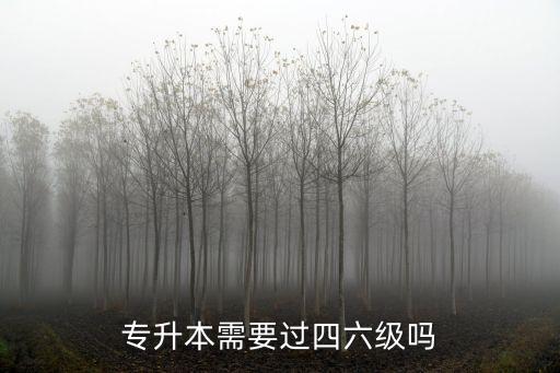 專升本需要過四六級嗎