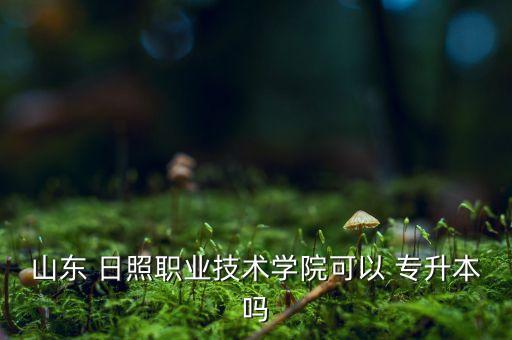 山東 日照職業(yè)技術(shù)學(xué)院可以 專升本嗎