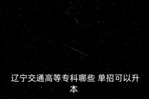 遼寧單招專升本的學(xué)校名單,遼寧工程造價專升本學(xué)校名單