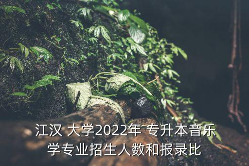  江漢 大學2022年 專升本音樂學專業(yè)招生人數(shù)和報錄比