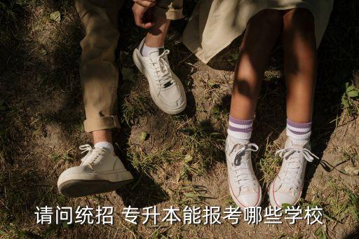 請問統(tǒng)招 專升本能報考哪些學(xué)校