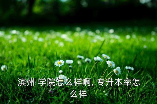  濱州 學院怎么樣啊, 專升本率怎么樣