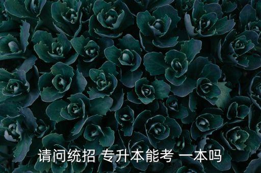 一本院校有專升本,湖北普通專升本院校難度排行