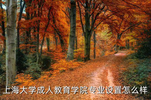 上海大學(xué)成人教育學(xué)院專(zhuān)業(yè)設(shè)置怎么樣