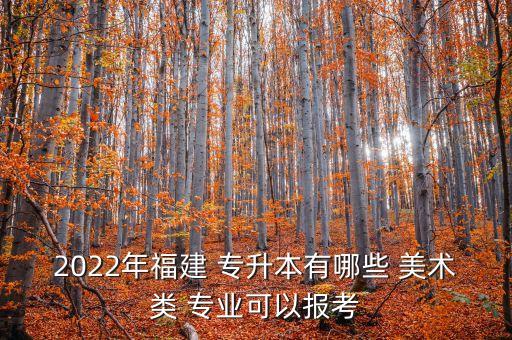 2022年福建 專升本有哪些 美術(shù)類 專業(yè)可以報(bào)考