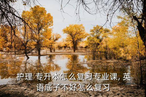 護理專升本英語詞匯,2022年專升本英語3800個詞匯