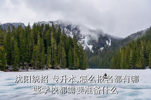  沈陽統(tǒng)招 專升本,怎么報名都有哪些學校都需要準備什么