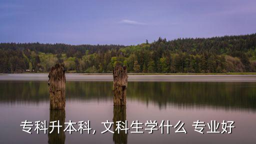 ?？粕究? 文科生學什么 專業(yè)好