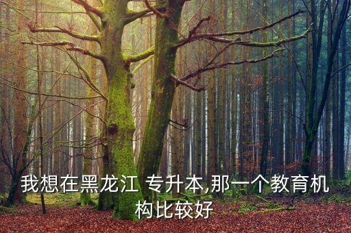我想在黑龍江 專(zhuān)升本,那一個(gè)教育機(jī)構(gòu)比較好