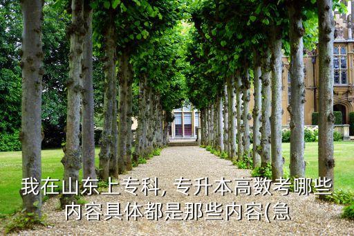 我在山東上?？? 專升本高數(shù)考哪些內(nèi)容具體都是那些內(nèi)容(急