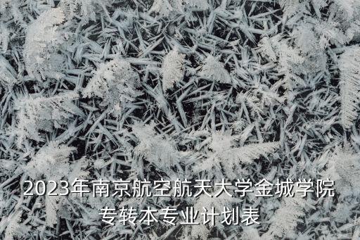 2023年南京航空航天大學金城學院專轉本專業(yè)計劃表