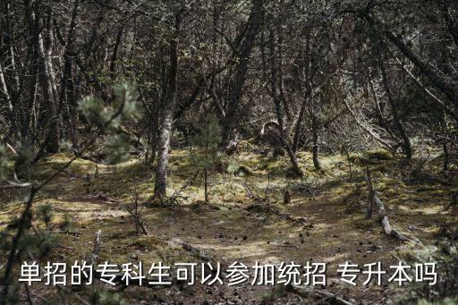 單招的?？粕梢詤⒓咏y(tǒng)招 專升本嗎