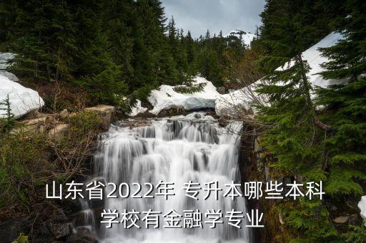  山東省2022年 專升本哪些本科學(xué)校有金融學(xué)專業(yè)