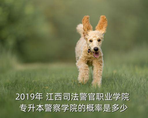 2019年 江西司法警官職業(yè)學(xué)院 專(zhuān)升本警察學(xué)院的概率是多少