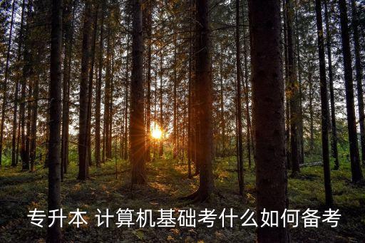  專升本 計算機(jī)基礎(chǔ)考什么如何備考