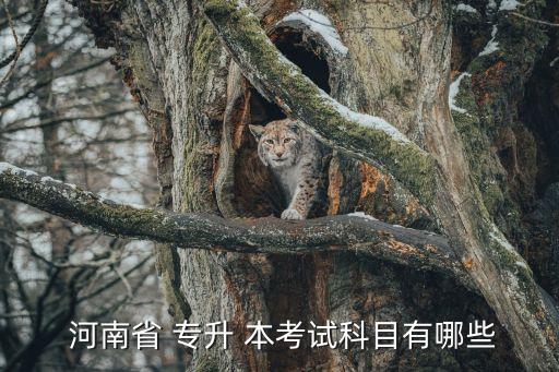  河南省 專(zhuān)升 本考試科目有哪些