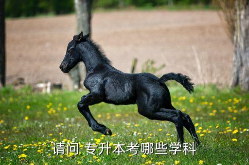請(qǐng)問 專升本考哪些學(xué)科