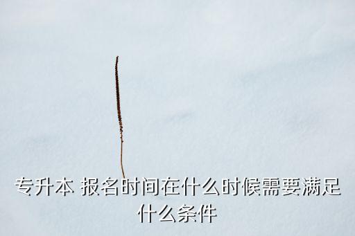 專升本 報(bào)名時(shí)間在什么時(shí)候需要滿足什么條件