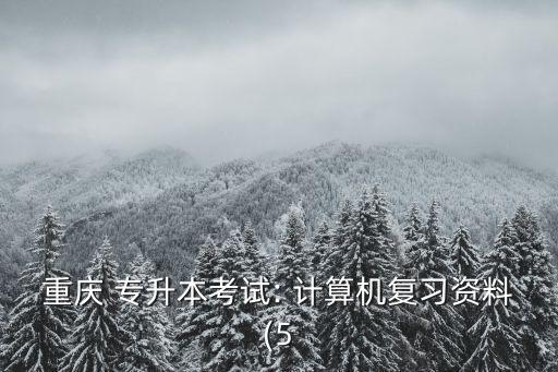 重慶 專(zhuān)升本考試: 計(jì)算機(jī)復(fù)習(xí)資料(5