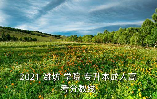 2021 濰坊 學(xué)院 專升本成人高考分數(shù)線