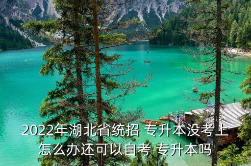 2022年湖北省統(tǒng)招 專升本沒考上怎么辦還可以自考 專升本嗎