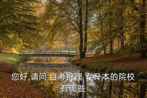 您好,請(qǐng)問(wèn) 自考護(hù)理 專(zhuān)升本的院校有哪些