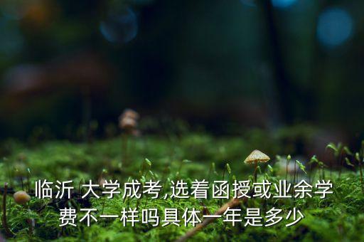臨沂大學(xué)專升本收費(fèi)標(biāo)準(zhǔn)