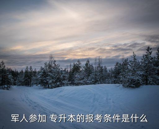 軍人參加 專(zhuān)升本的報(bào)考條件是什么