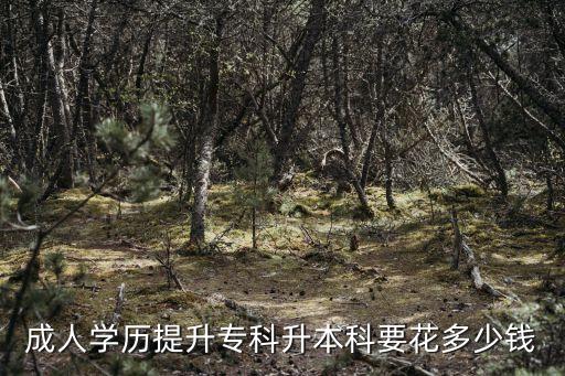 成人學(xué)歷提升專科升本科要花多少錢(qián)