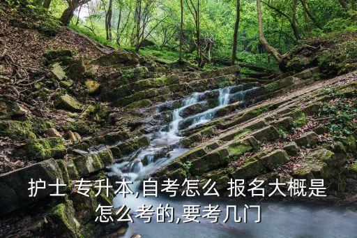 護(hù)士 專升本,自考怎么 報(bào)名大概是怎么考的,要考幾門