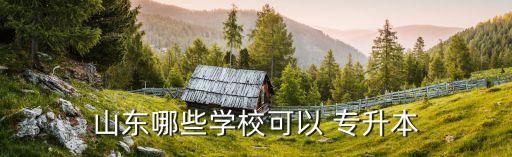 山東哪些學(xué)?？梢?專升本